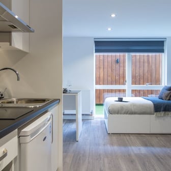 Large Classic Studio Plus - Image 1