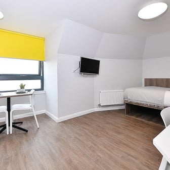 Gold Studio - Image 3