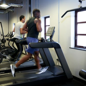 Gold Studio - Image 4