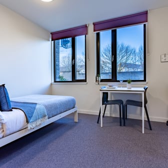 Premium Studio - Image 3