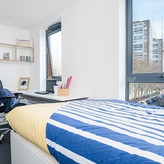 Gold Studio - Image 4