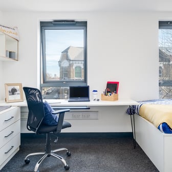 Gold Studio - Image 2