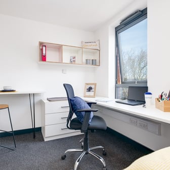 Gold Studio - Image 5