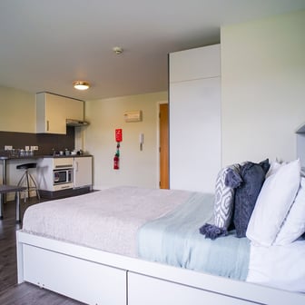 Gold Studio - Image 2