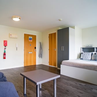 Gold Studio - Image 1