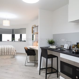 Deluxe Plus Studio - Image 1