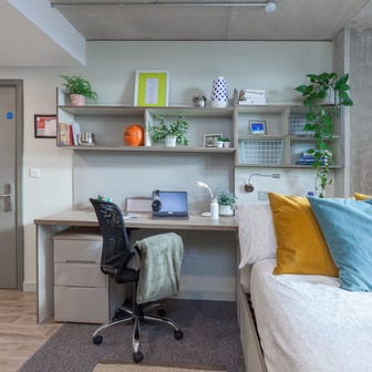 Bronze Plus Studio - Image 2