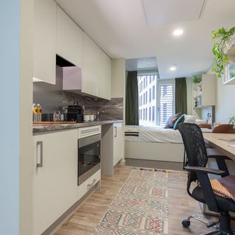 Platinum Plus Studio - Image 3