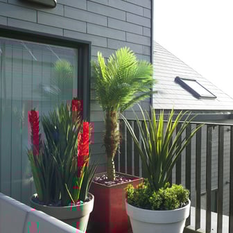 Classic Plus Studio - Image 23