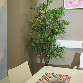 Premium Studio - Image 13