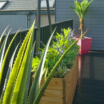 Superior Plus Studio - Image 22