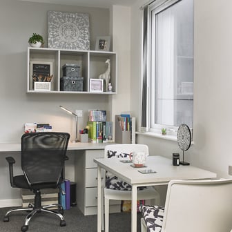 Premium Plus Studio - Image 2