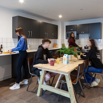 true Apartment - Image 4