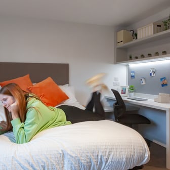 true Studio Plus - Image 1