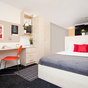 Standard  Studio - Image 1