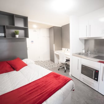 Platinum Studio (Access.) - Image 1