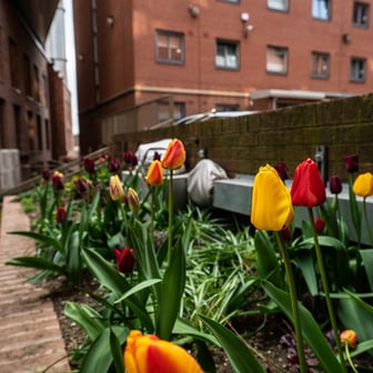 Gold Ensuite - Image 16