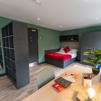 Superior Deluxe Studio - Image 1