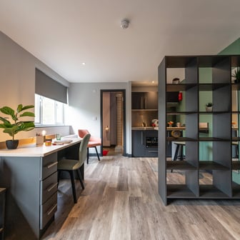 Superior Deluxe Studio - Image 2