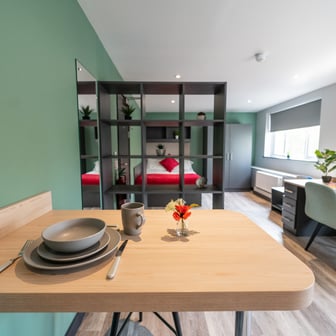 Superior Deluxe Studio - Image 3