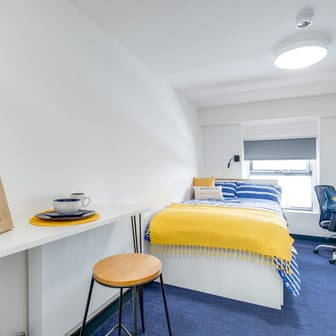 Bronze Plus Studio - Image 1