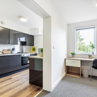 Kitchen and study space