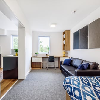 Bedroom, living and study space