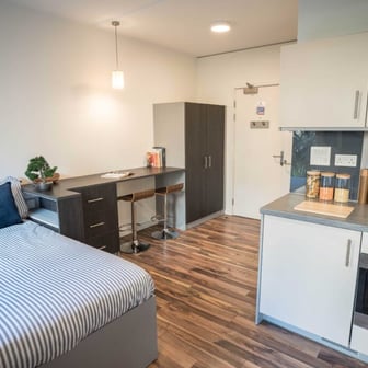 Premium Plus Studio - Image 1