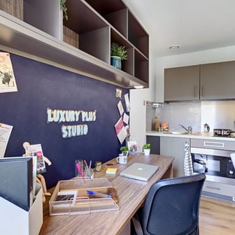 Luxury Plus Studio - Image 3