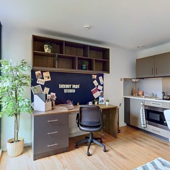 Luxury Plus Studio - Image 4