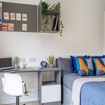 Standard Studio - Image 2