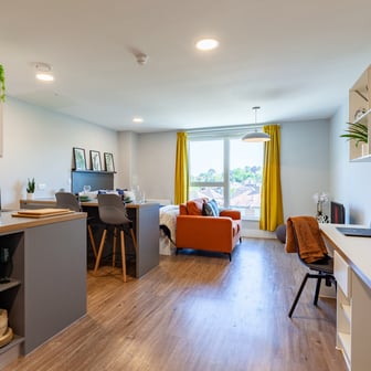 Luxury Studio - Image 1