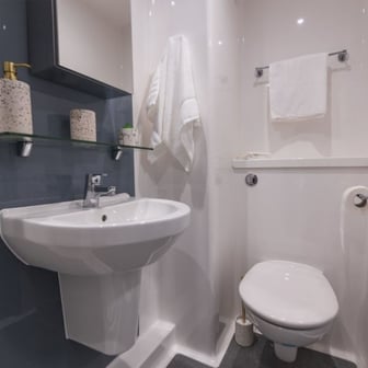 Silver Plus Ensuite - Image 4