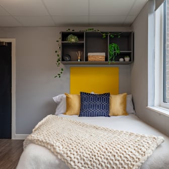 Classic Studio - Image 6