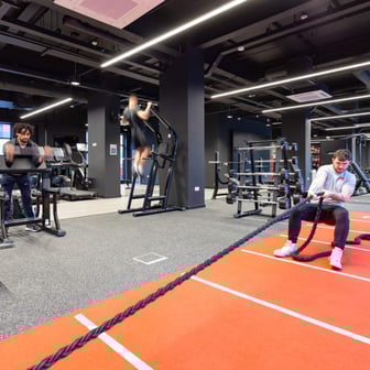 True Studio Plus - Image 7