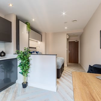 Gold Studio - Image 4