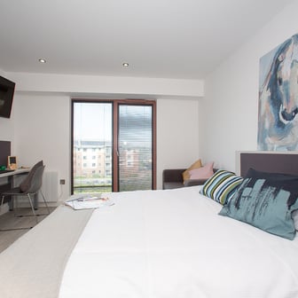 Gold Studio - Image 8