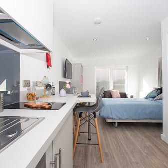 Bronze Studio - Image 2