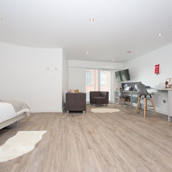 Diamond Plus - Image 2