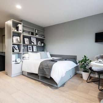 Standard Studio - Image 2