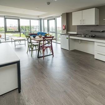 One Bedroom Apartment - Image 4