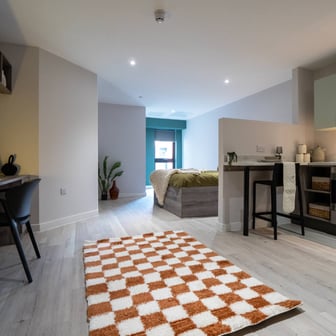 Superior Double Occupancy Studio (Double Occupancy Only) - Image 2