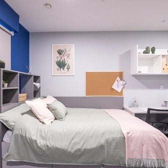 Classic Studio - Image 2