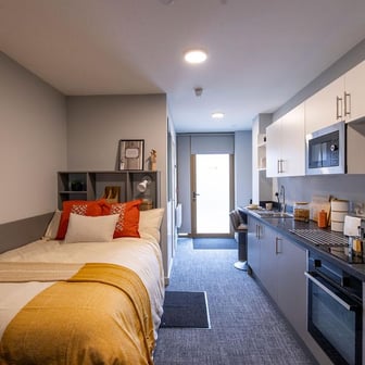 Deluxe Studio - Image 1