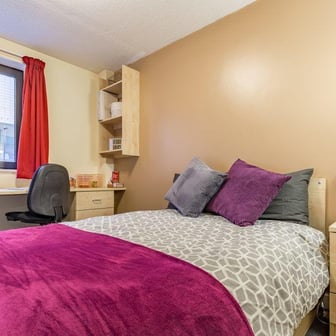 Deluxe Studio - Image 1