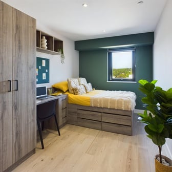 Luxury Studio - Image 1