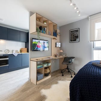 Executive Studio - Image 2