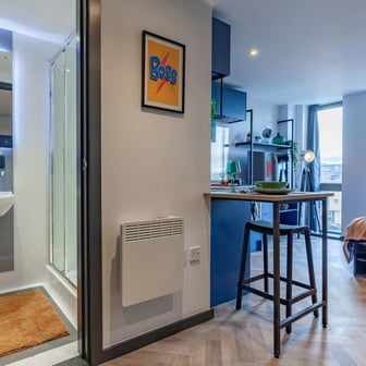 Silver Suite - Image 7