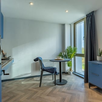 Platinum Suite - Accessible - Image 3