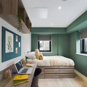 Superior Ensuite Plus - Image 2